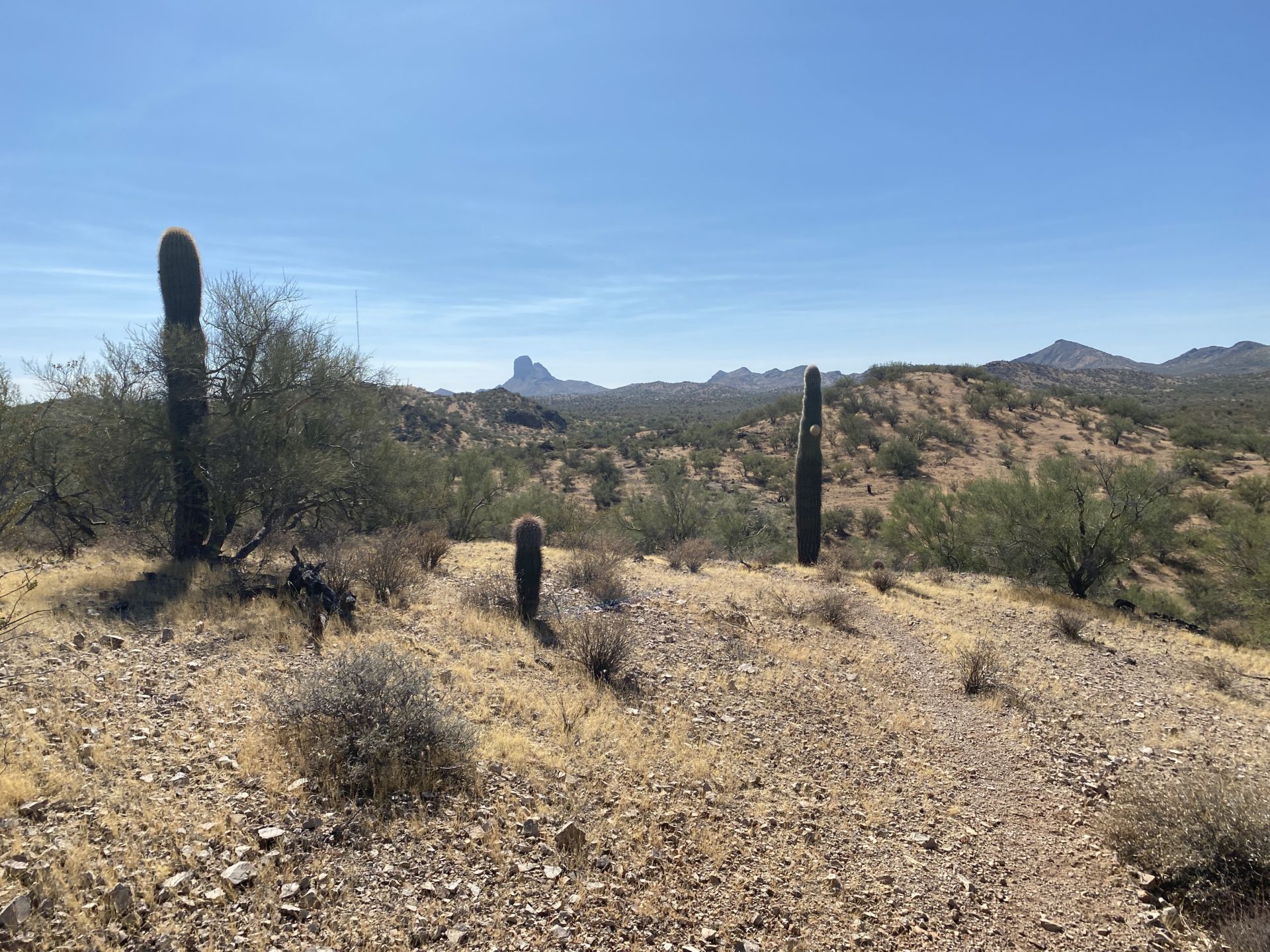 aravaipa running live tracking